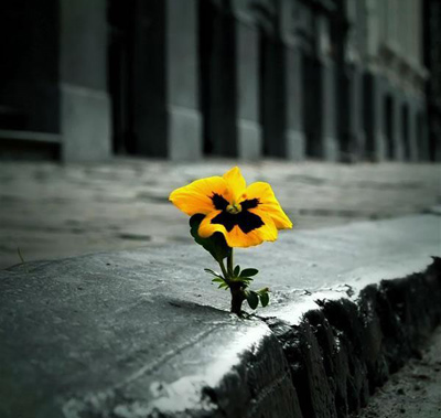 شعر و ترانه, اشعار عاشقانه هوشنگ ابتهاج